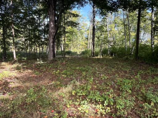 0 3 1/2 Avenue, Chetek, WI 54728