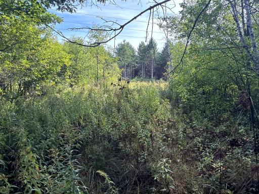 0 3 1/2 Avenue, Chetek, WI 54728