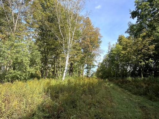 0 3 1/2 Avenue, Chetek, WI 54728