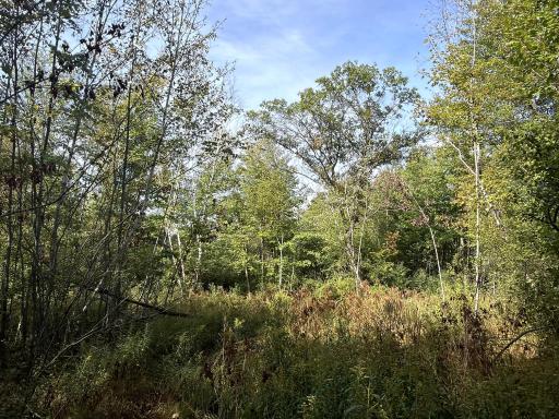 0 3 1/2 Avenue, Chetek, WI 54728
