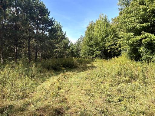 0 3 1/2 Avenue, Chetek, WI 54728