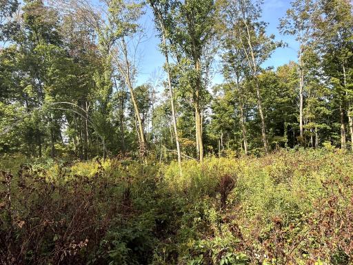 0 3 1/2 Avenue, Chetek, WI 54728