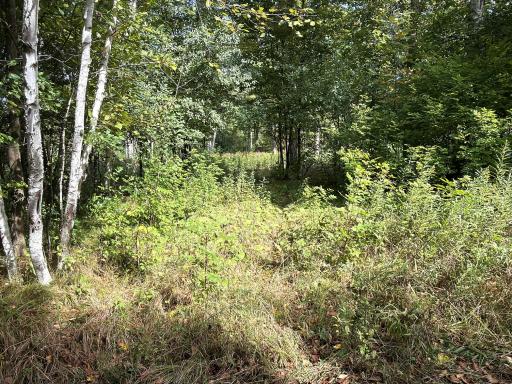 0 3 1/2 Avenue, Chetek, WI 54728