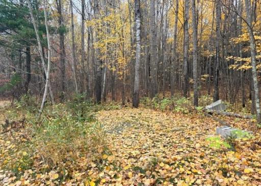 31258 County Road 67, Grand Rapids, MN 55744