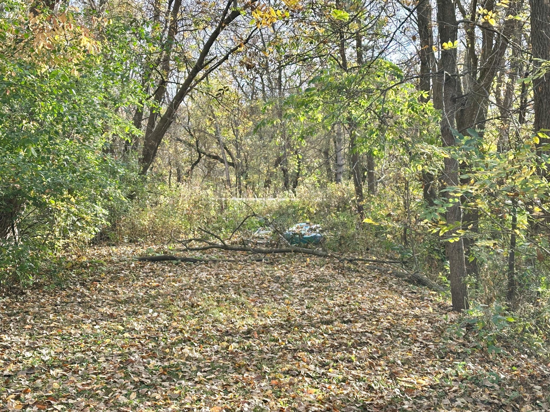 There is also a second driveway to the property off County Rd M to access the property if desired.