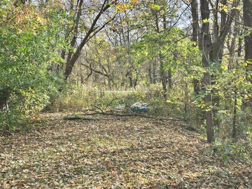 There is also a second driveway to the property off County Rd M to access the property if desired.