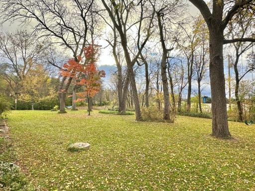 This is the yard space just off that great deck.