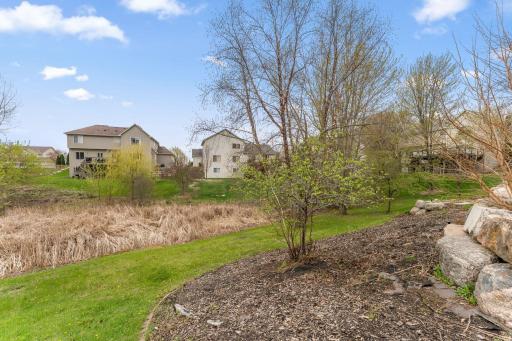 343 Foster Avenue, Carver, MN 55315