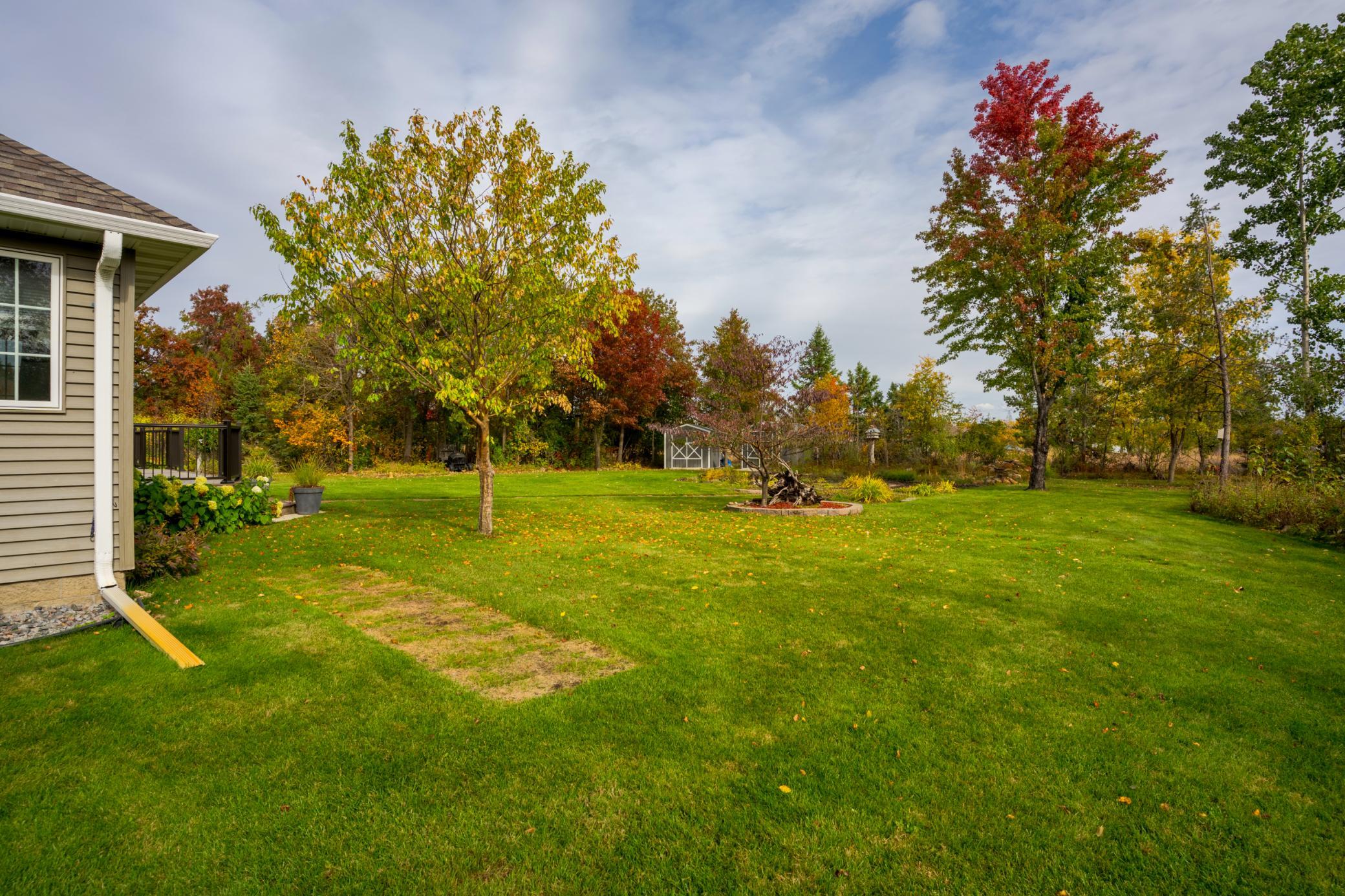 Backyard.jpeg