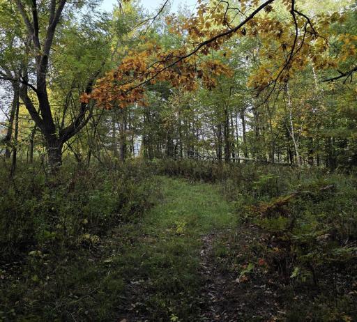 3368 N Sawdust Road N, Bruce, WI 54819