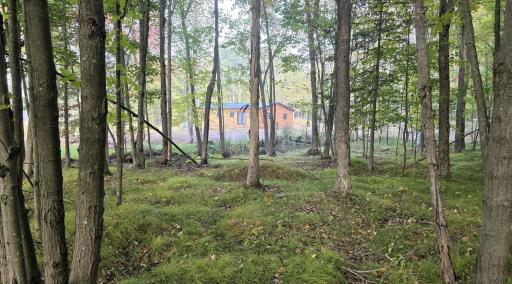 3368 N Sawdust Road N, Bruce, WI 54819