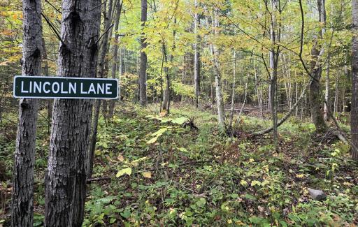3368 N Sawdust Road N, Bruce, WI 54819