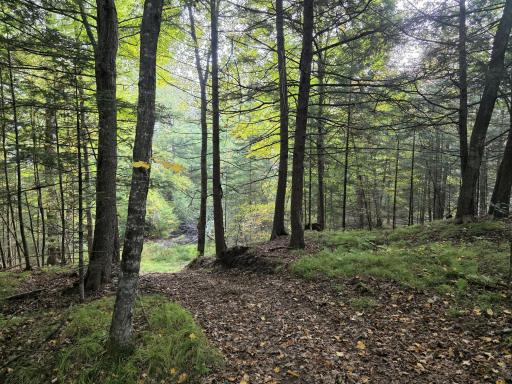 3368 N Sawdust Road N, Bruce, WI 54819