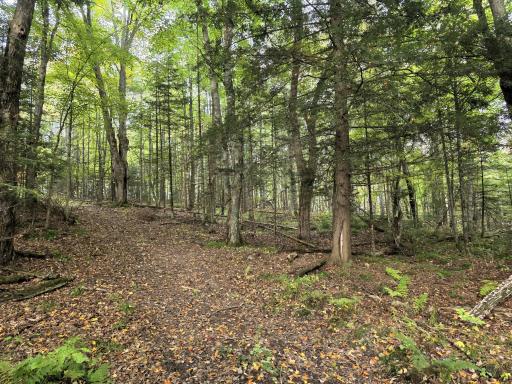3368 N Sawdust Road N, Bruce, WI 54819