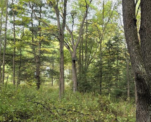 3368 N Sawdust Road N, Bruce, WI 54819