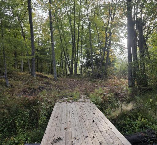 3368 N Sawdust Road N, Bruce, WI 54819