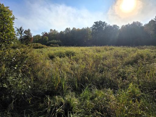 3368 N Sawdust Road N, Bruce, WI 54819