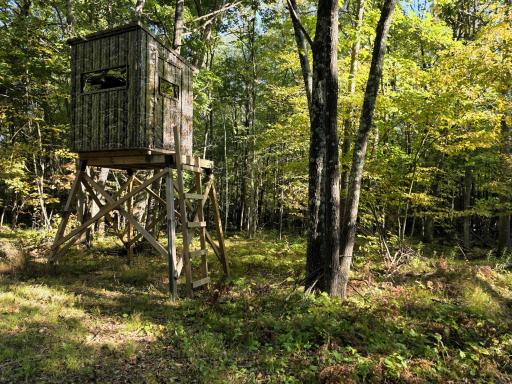 3368 N Sawdust Road N, Bruce, WI 54819