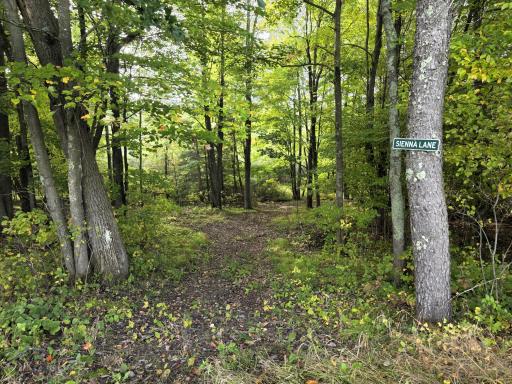 3368 N Sawdust Road N, Bruce, WI 54819