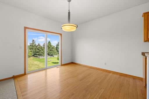 1096 Danube Avenue, Shakopee, MN 55379