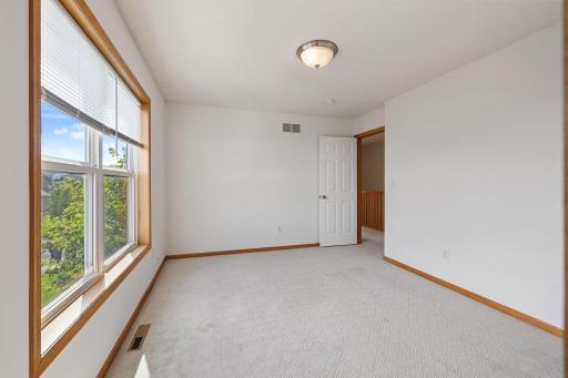1096 Danube Avenue, Shakopee, MN 55379