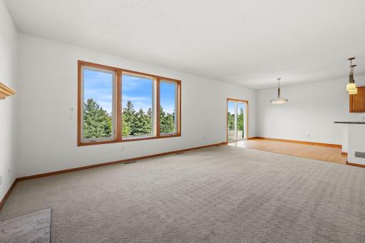 1096 Danube Avenue, Shakopee, MN 55379
