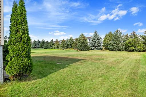 1096 Danube Avenue, Shakopee, MN 55379