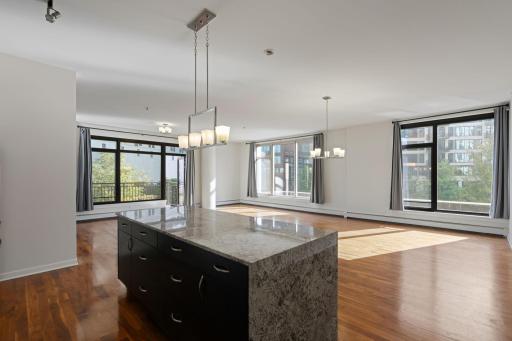 1120 S 2nd Street, 201, Minneapolis, MN 55415