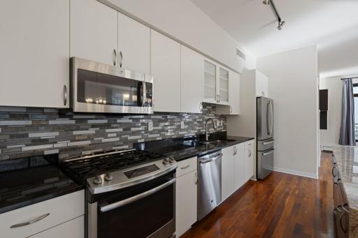 1120 S 2nd Street, 201, Minneapolis, MN 55415