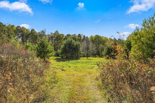317 Sherwood Forest, River Falls, WI 54022