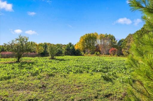 317 Sherwood Forest, River Falls, WI 54022