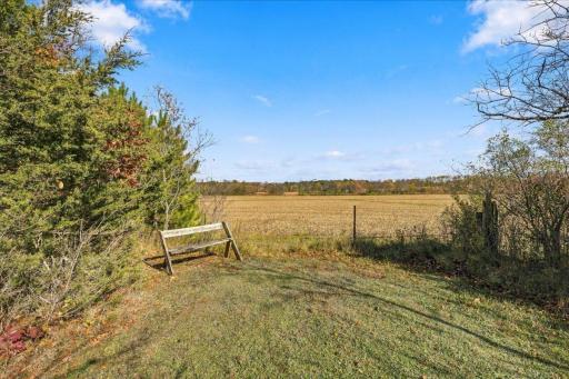 317 Sherwood Forest, River Falls, WI 54022