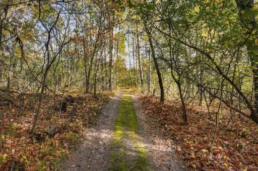 317 Sherwood Forest, River Falls, WI 54022