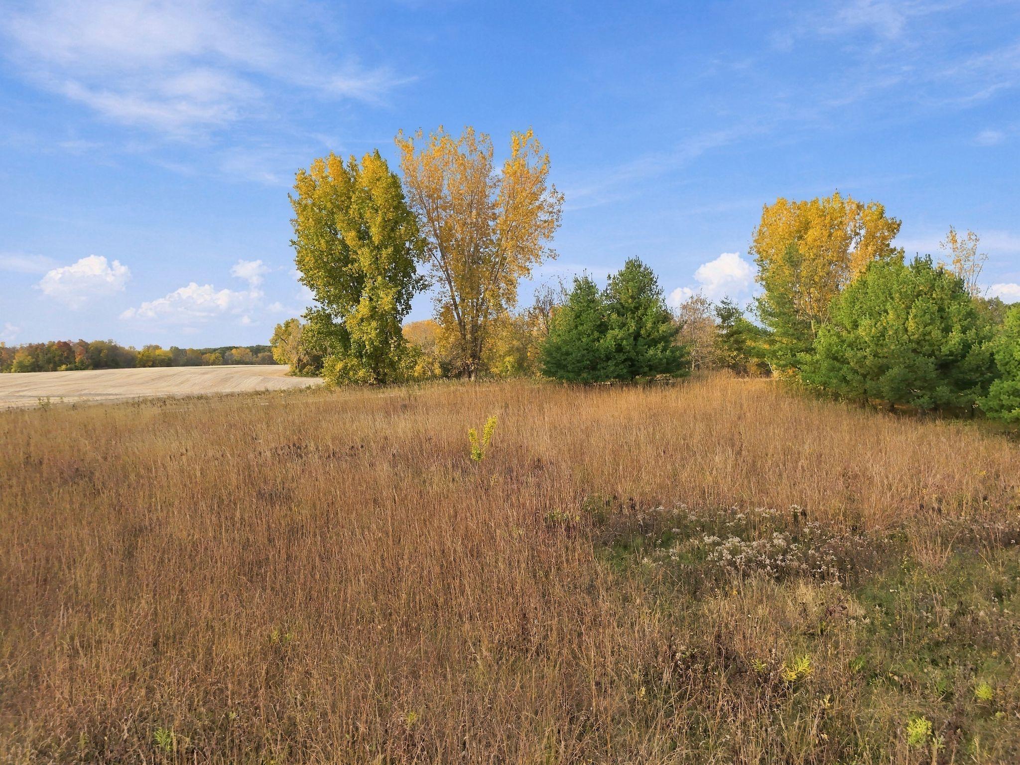 Beautiful Prairie that is Filled with Wildflowers in the Summertime
