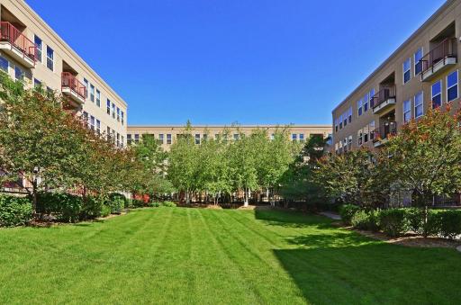 615 N 1st Street, 115, Minneapolis, MN 55401