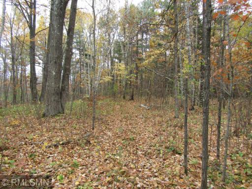 xxxxx Holly Road, Pine City, MN 55063