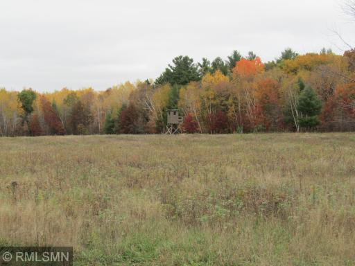 xxxxx Holly Road, Pine City, MN 55063