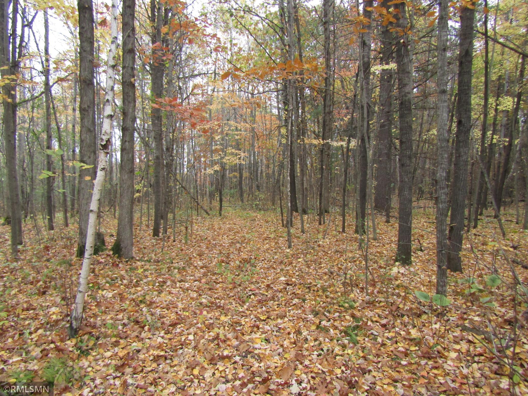 IMG_3724.JPG
