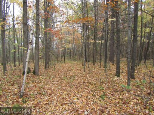 xxxxx Holly Road, Pine City, MN 55063