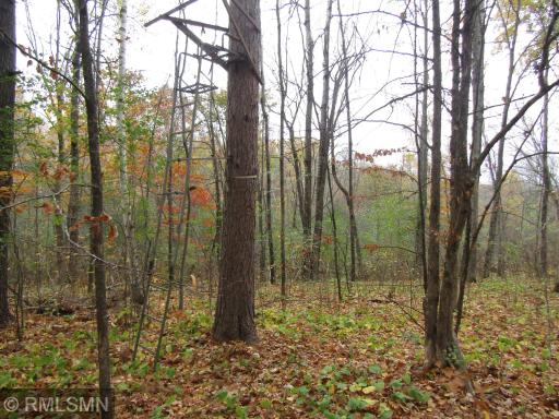 xxxxx Holly Road, Pine City, MN 55063