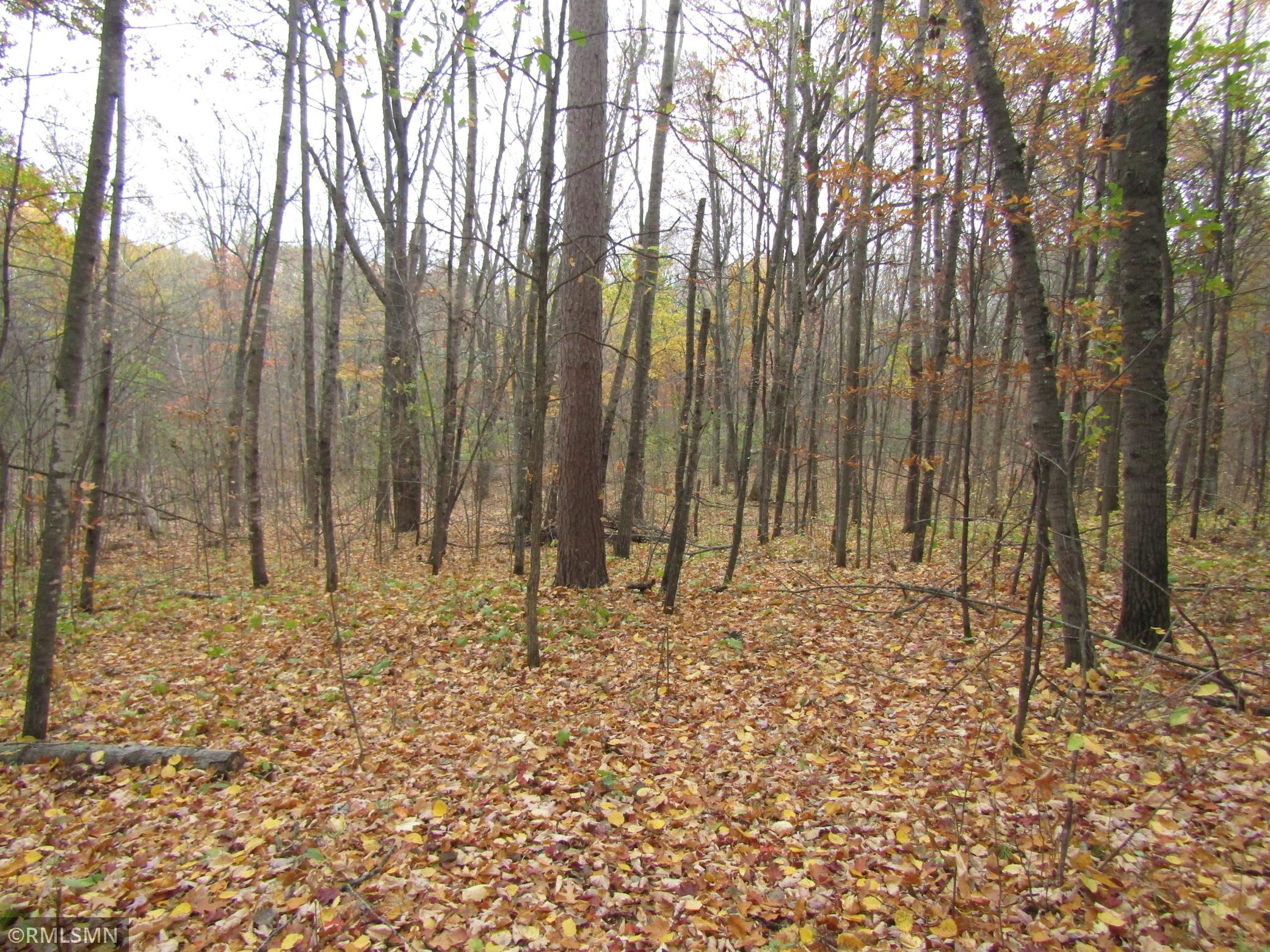 IMG_3731.JPG