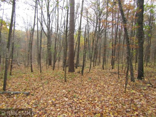 xxxxx Holly Road, Pine City, MN 55063