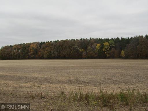 xxxxx Holly Road, Pine City, MN 55063