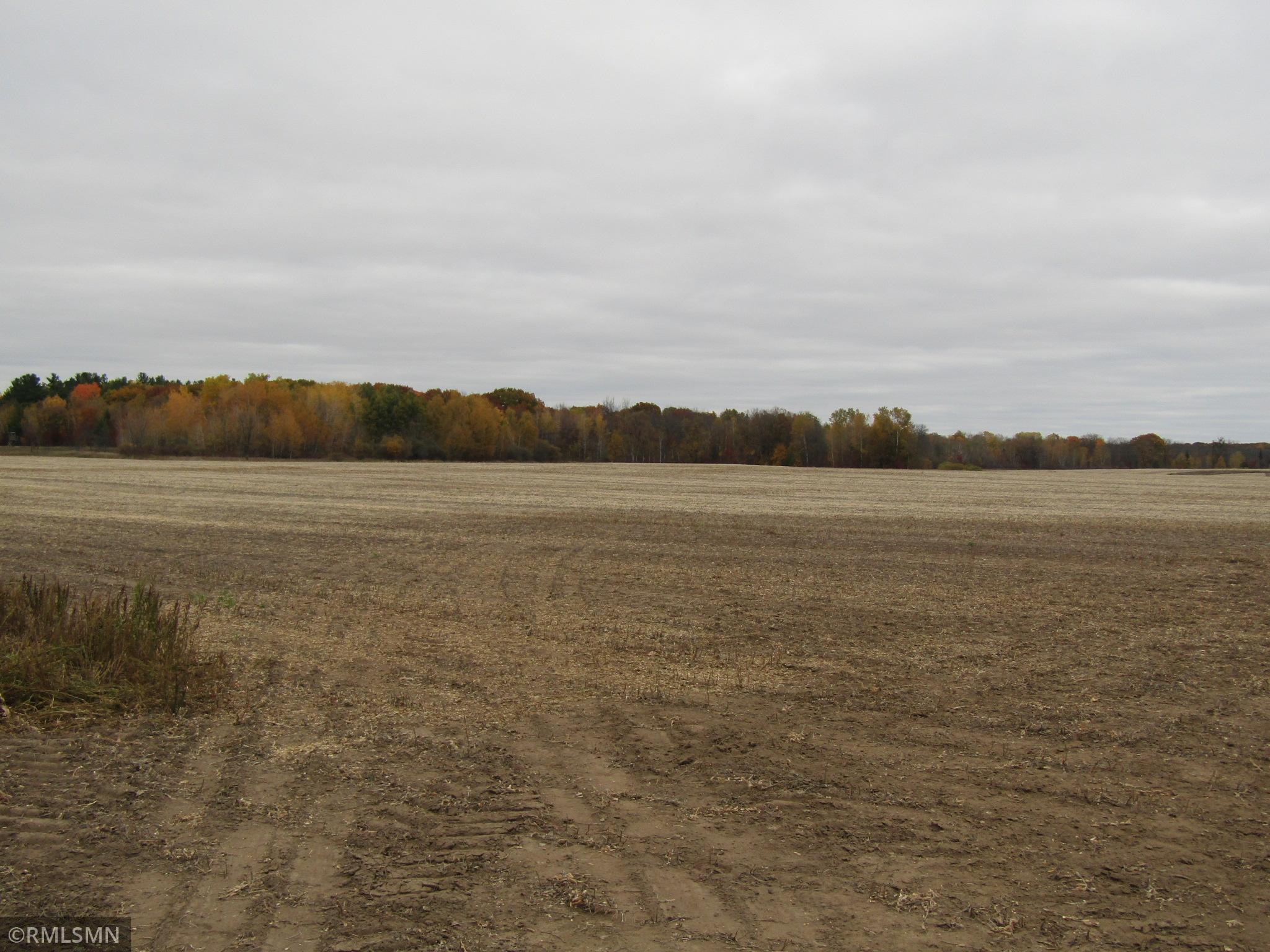 Approximately 62 acres of tillable land