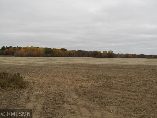 xxxxx Holly Road, Pine City, MN 55063
