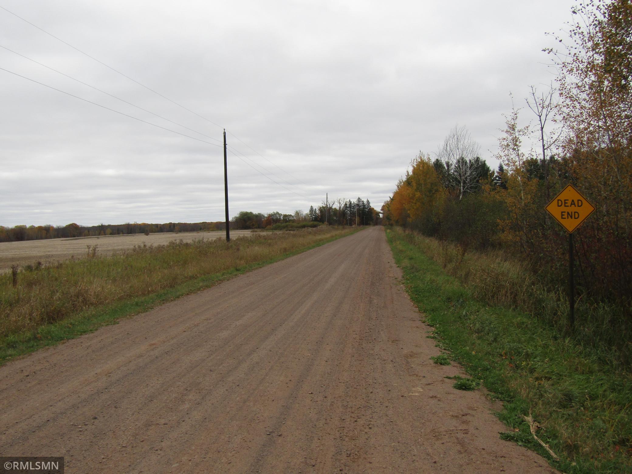Holly Road runs right to the Chengwatana State Forest