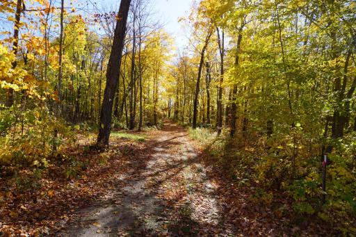 TBD Eagles Landing Court NW, Federal Dam, MN 56641