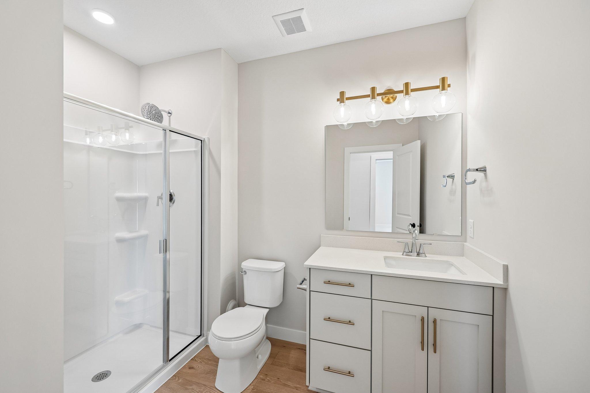 Lower Level Bathroom