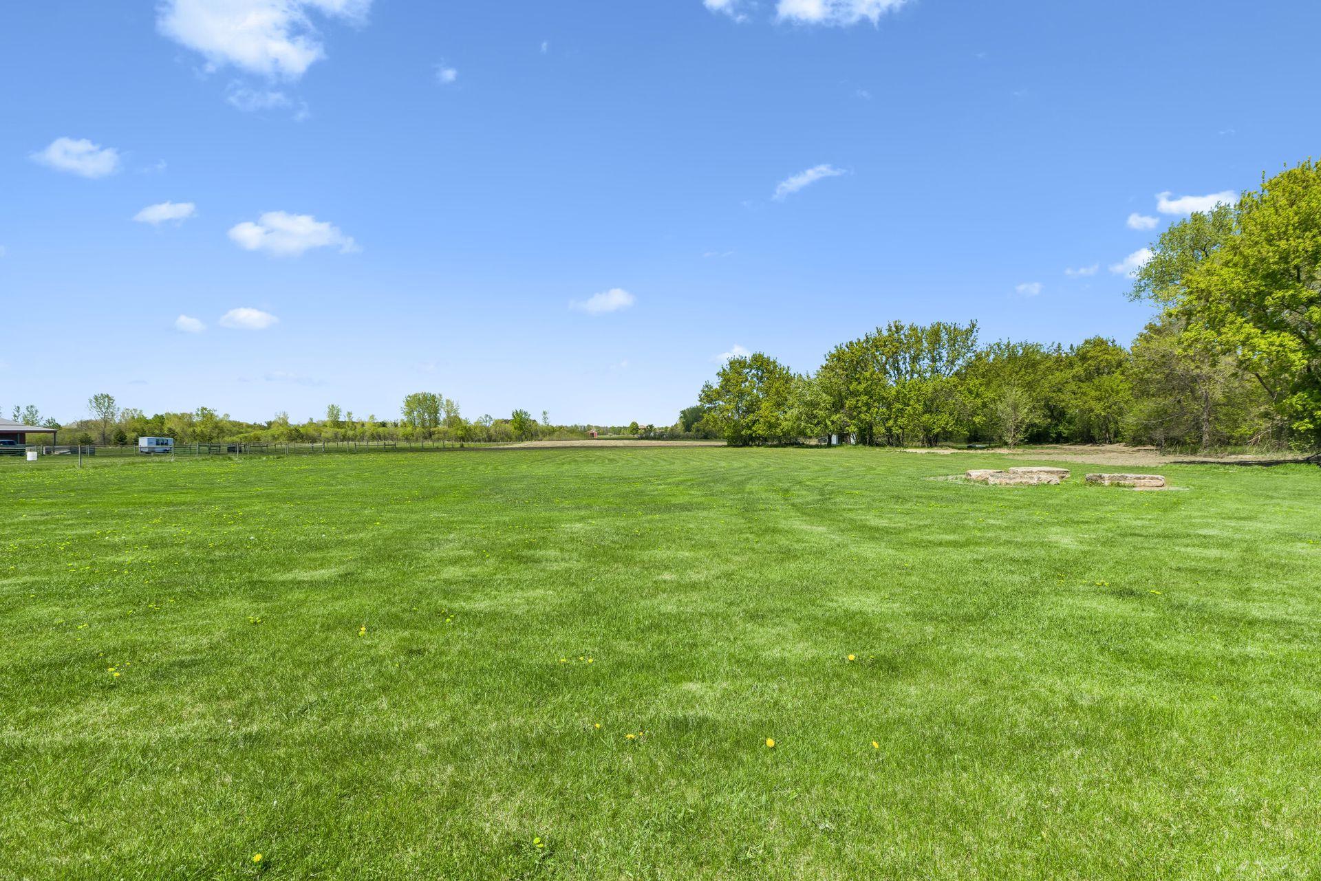 Back field