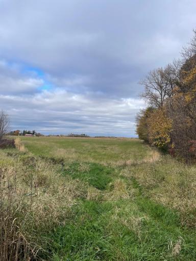 TBD 75th Street, Princeton, MN 55371